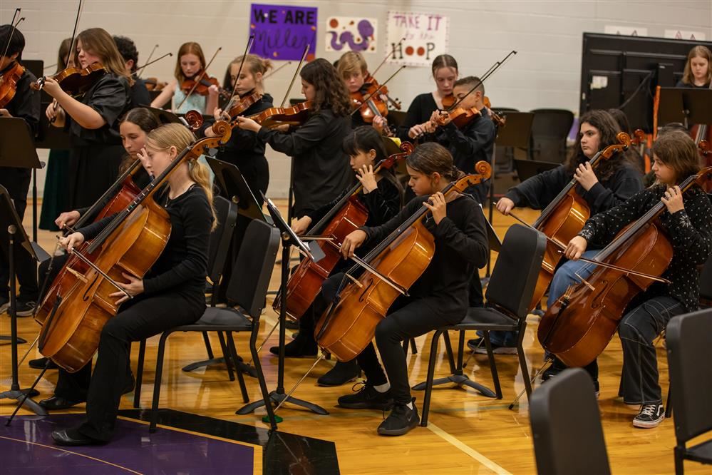 ALT TX: Students playing violin, viola, cello, and bass instruments