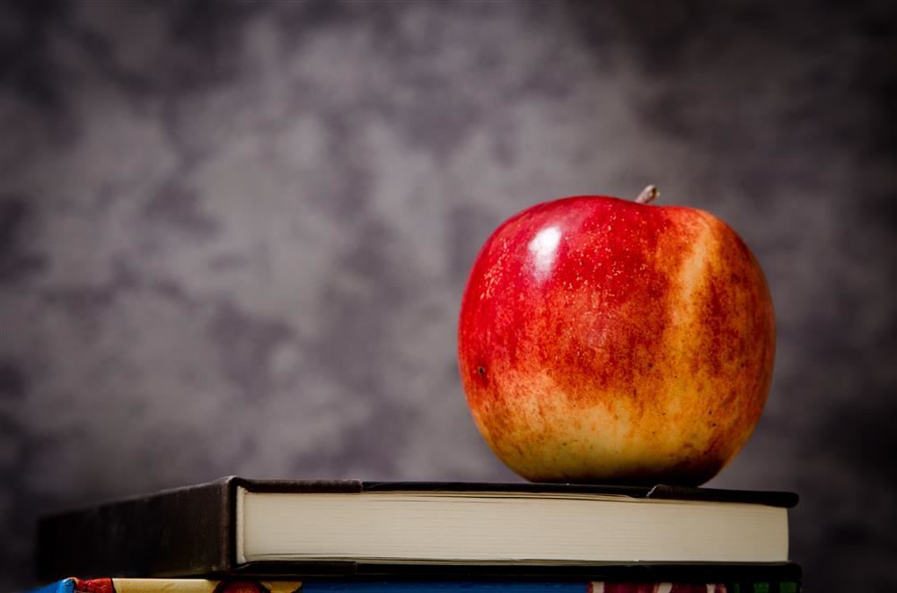 Teacher Corner